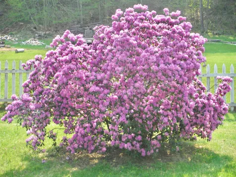 65 Sugar Hill Road Bethel VT 05032