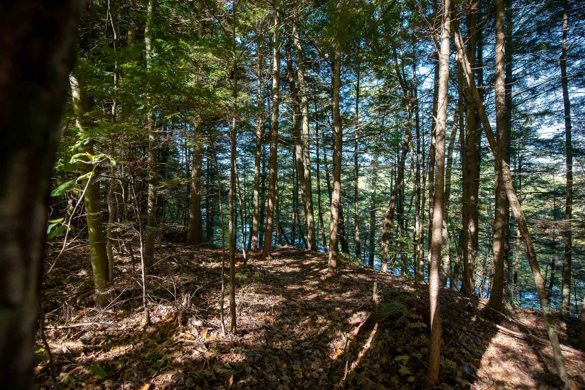 140 Riverwood Drive New Hampton NH 03256