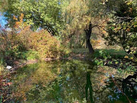 4361 Bruce Badger Memorial Highway Danville VT 05828