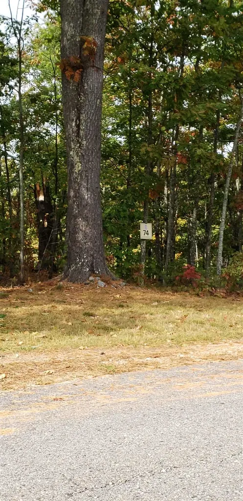 60 Lighthouse Cliffs Avenue Laconia NH 03246