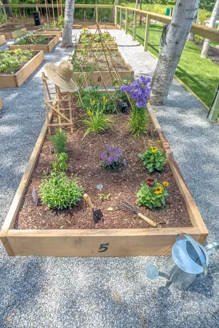 60 Lighthouse Cliffs Avenue Laconia NH 03246