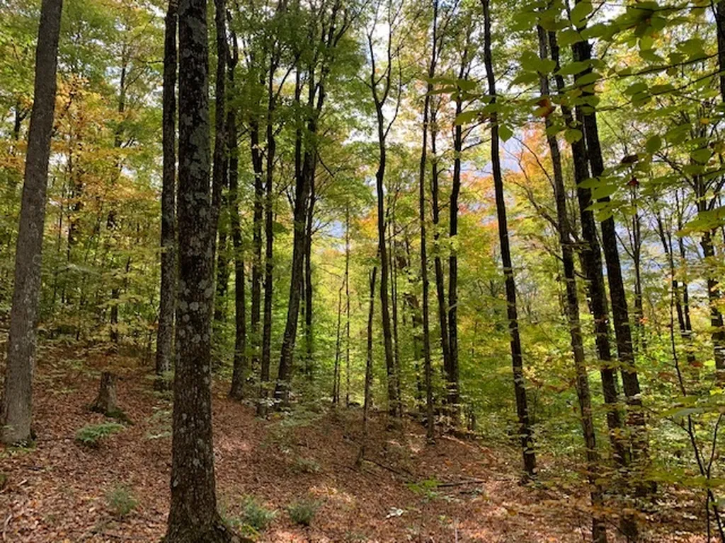538 Skyline Drive Pomfret VT 05053
