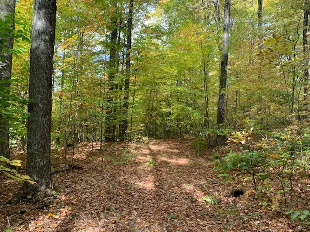 538 Skyline Drive Pomfret VT 05053
