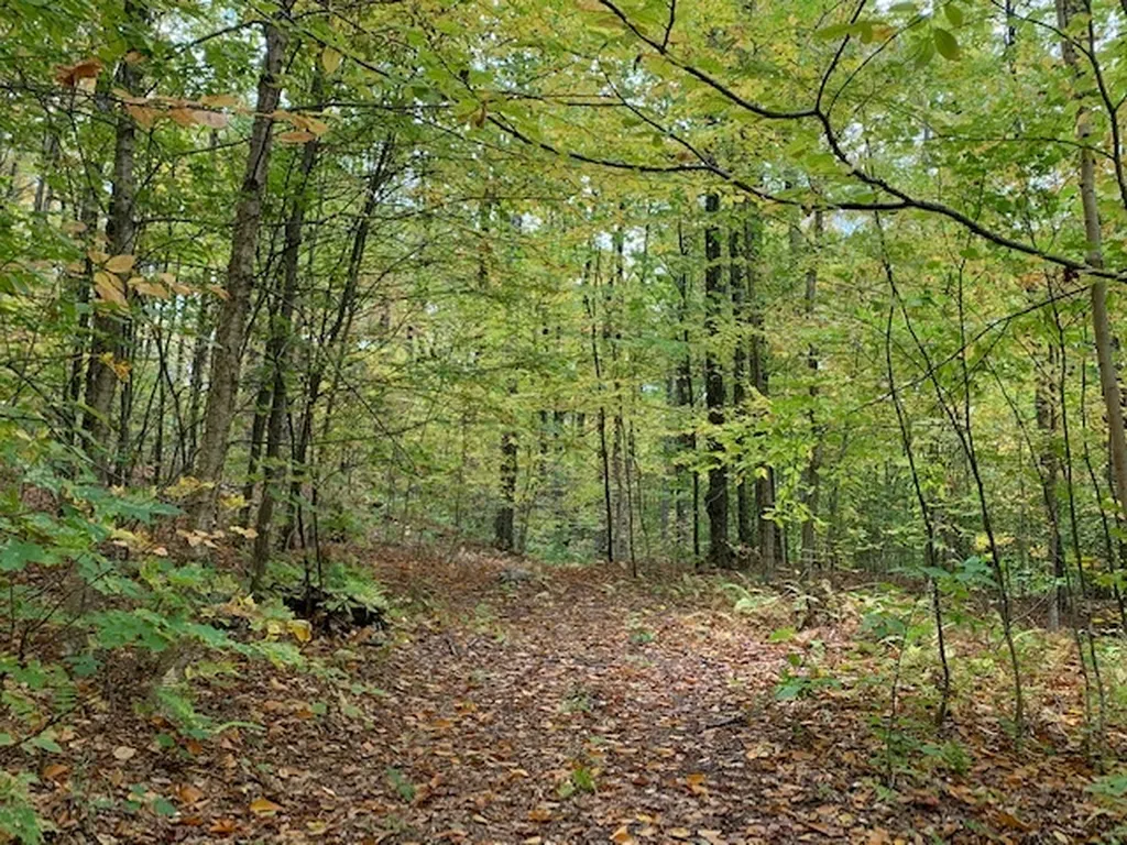538 Skyline Drive Pomfret VT 05053