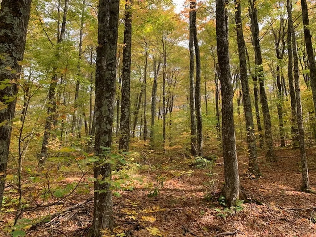 538 Skyline Drive Pomfret VT 05053