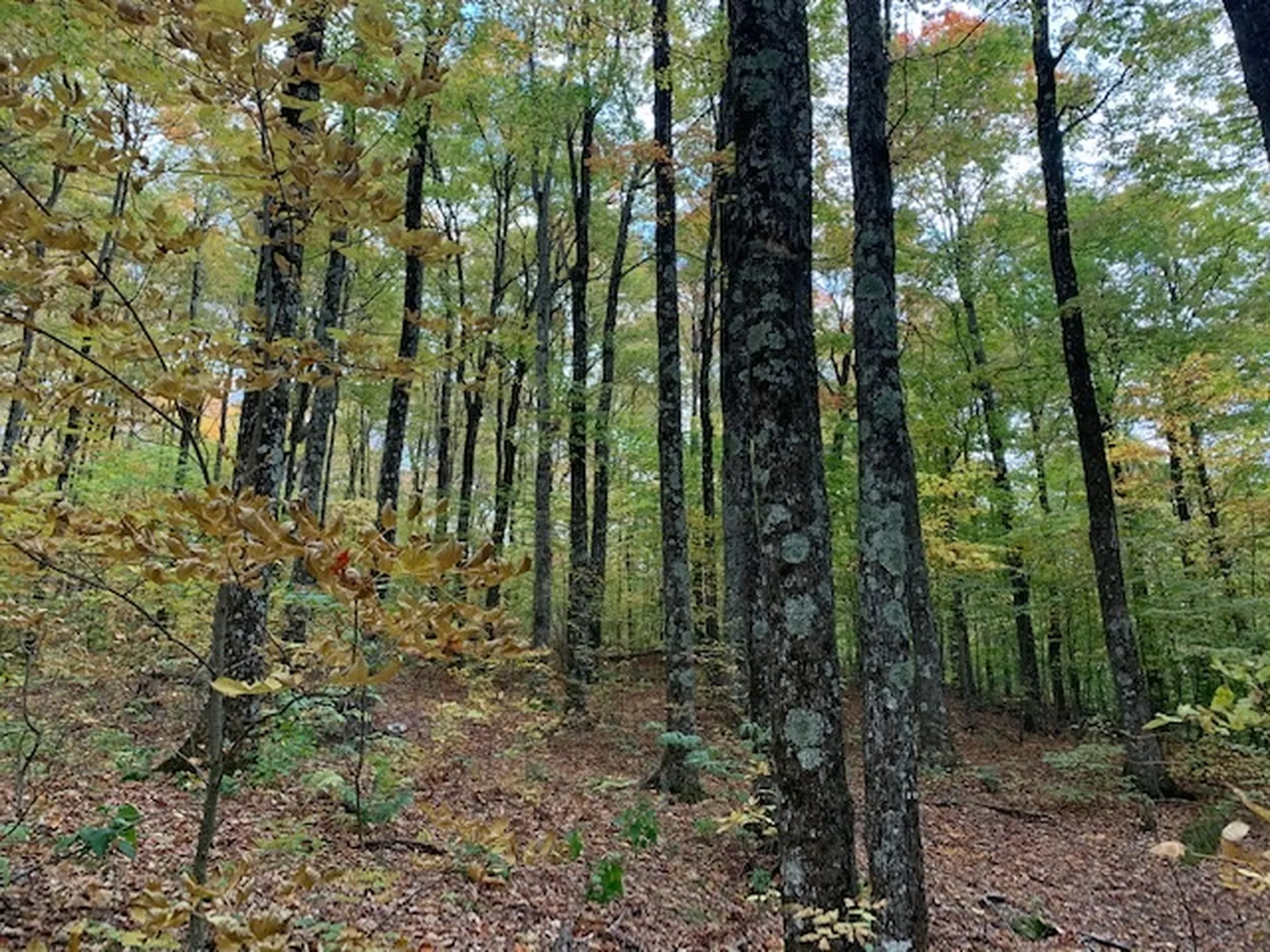 538 Skyline Drive Pomfret VT 05053