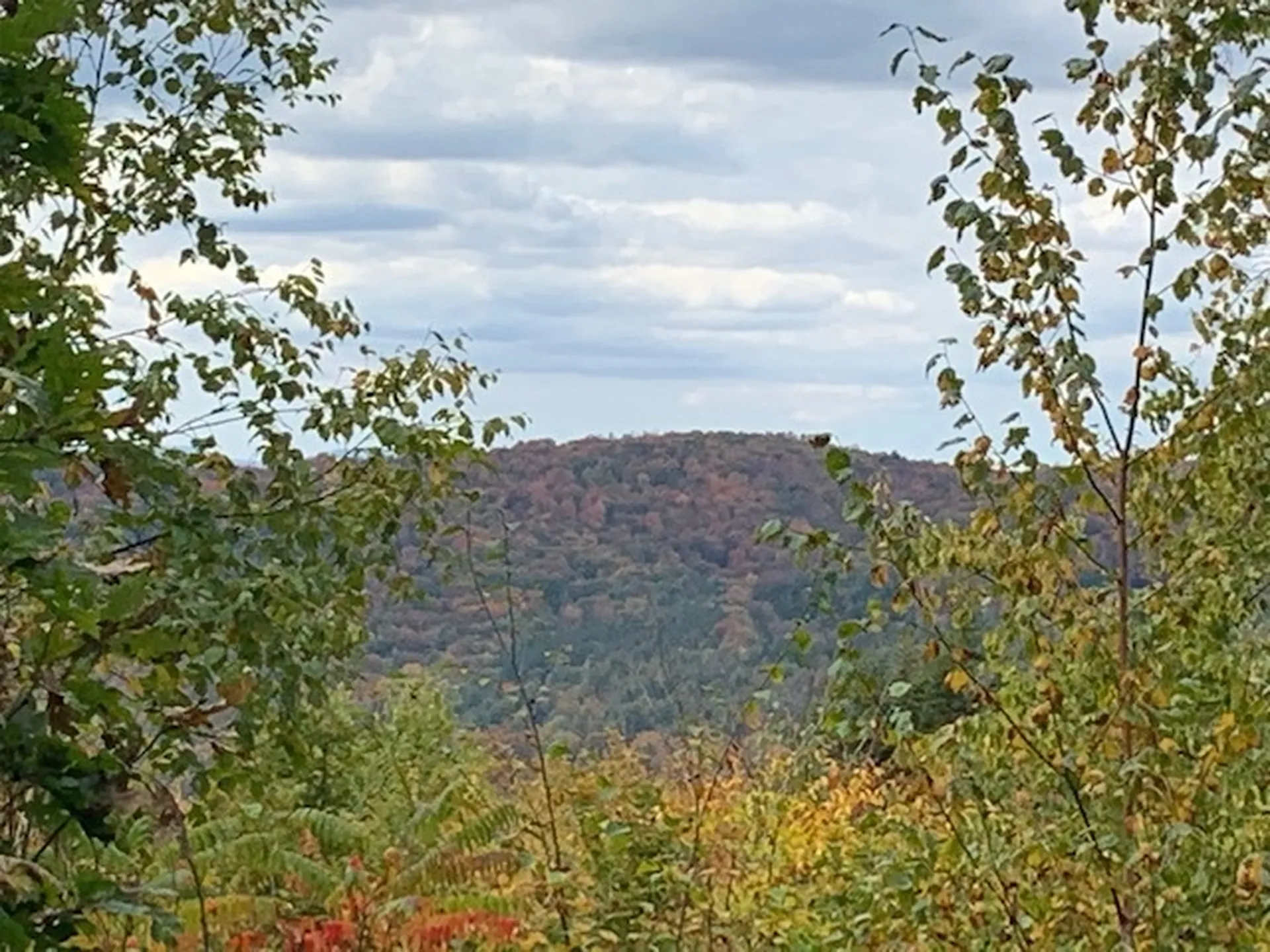 538 Skyline Drive Pomfret VT 05053