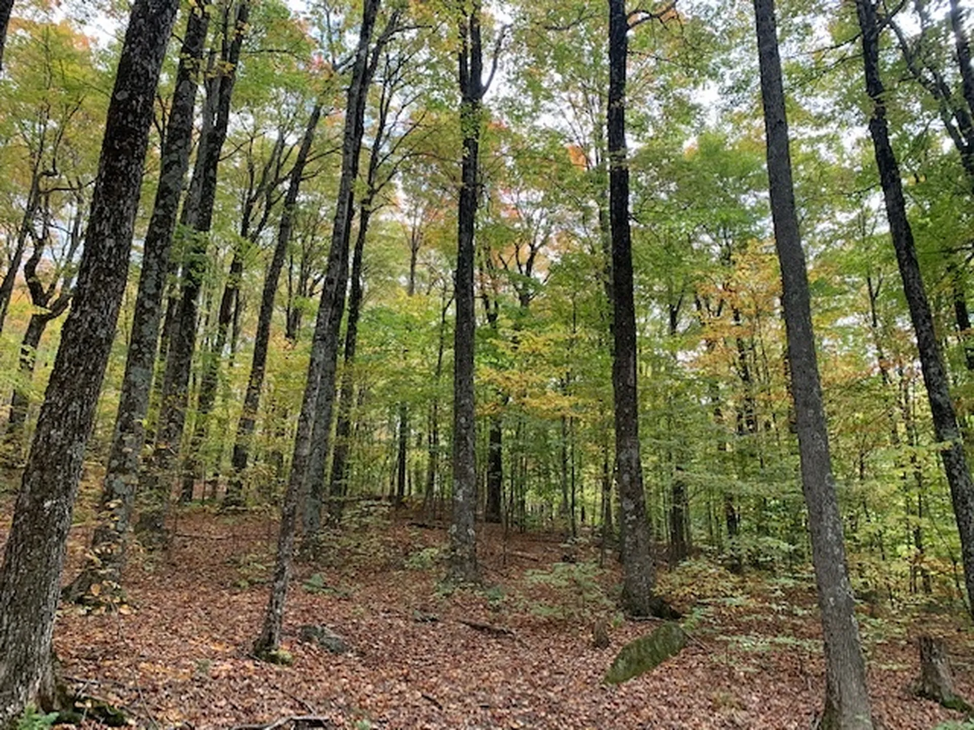 538 Skyline Drive Pomfret VT 05053