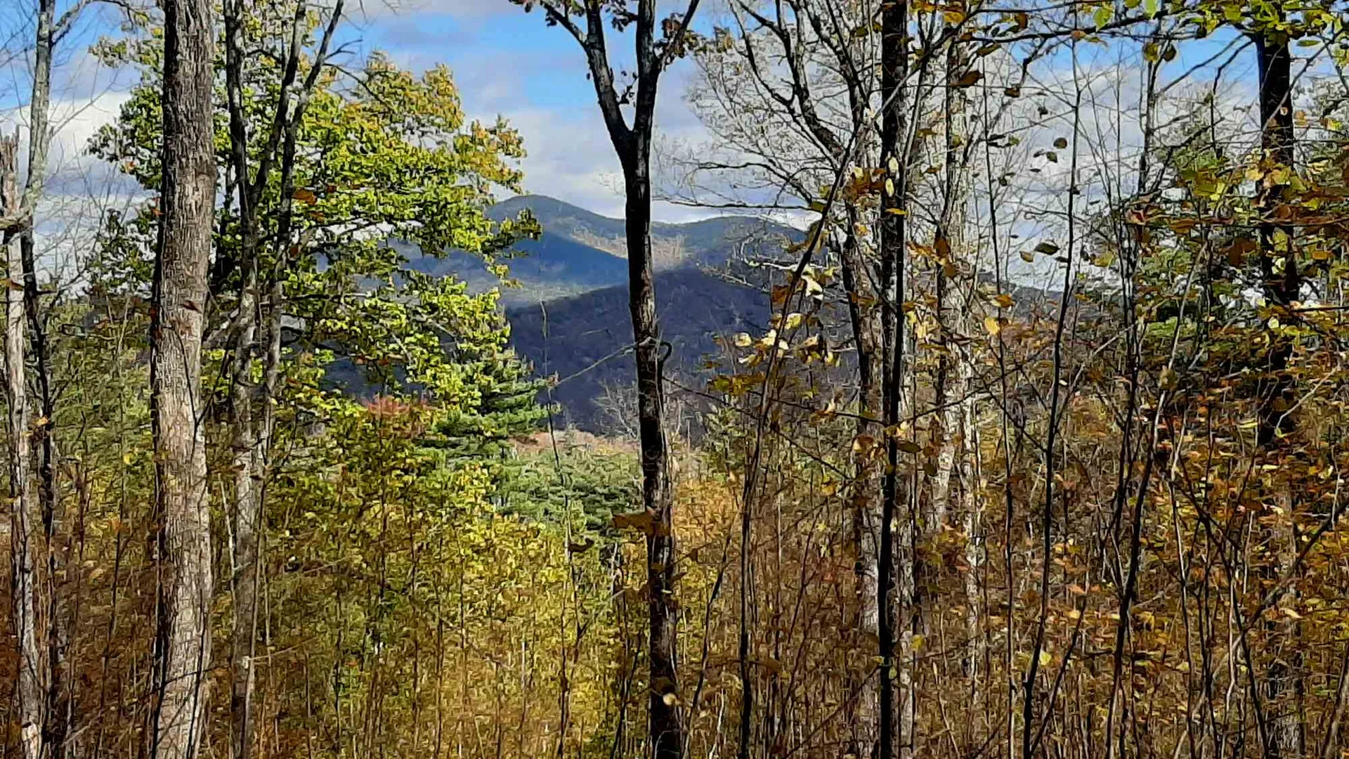 Tarbell Hill Road Cavendish VT 05142