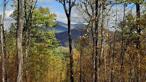 Tarbell Hill Road Cavendish VT 05142