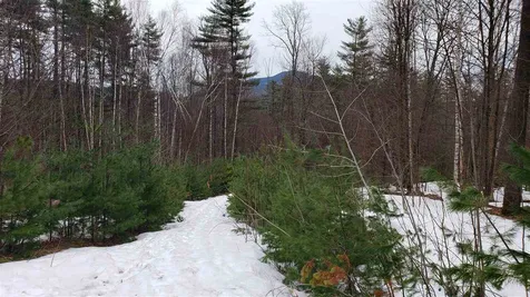 Tarbell Hill Road Cavendish VT 05142