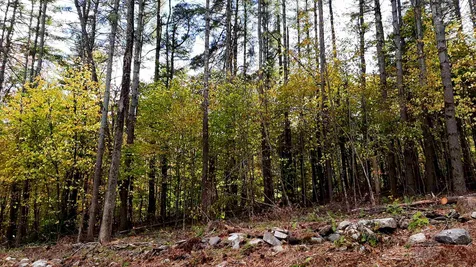 Tarbell Hill Road Cavendish VT 05142