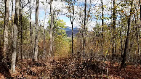 Tarbell Hill Road Cavendish VT 05142