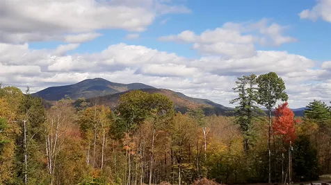Tarbell Hill Road Cavendish VT 05142
