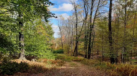 Tarbell Hill Road Cavendish VT 05142