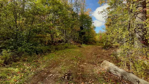 Tarbell Hill Road Cavendish VT 05142