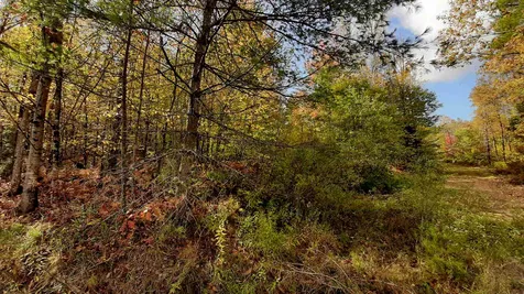 Tarbell Hill Road Cavendish VT 05142