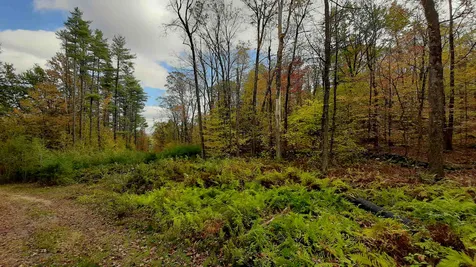 Tarbell Hill Road Cavendish VT 05142