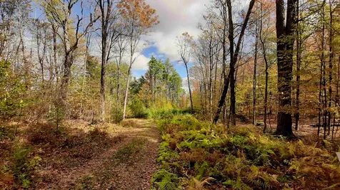 Tarbell Hill Road Cavendish VT 05142