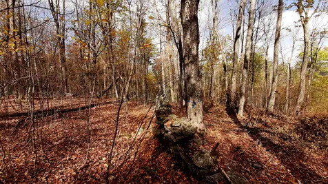 Tarbell Hill Road Cavendish VT 05142