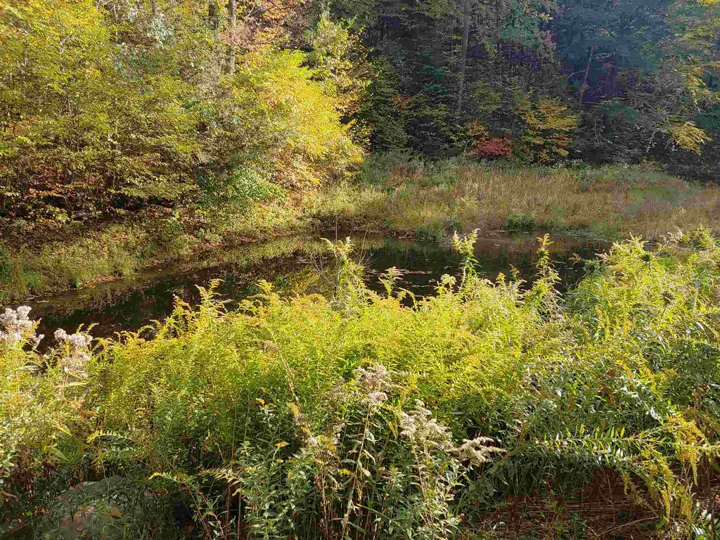 105 Brewery Road Walpole NH 03608