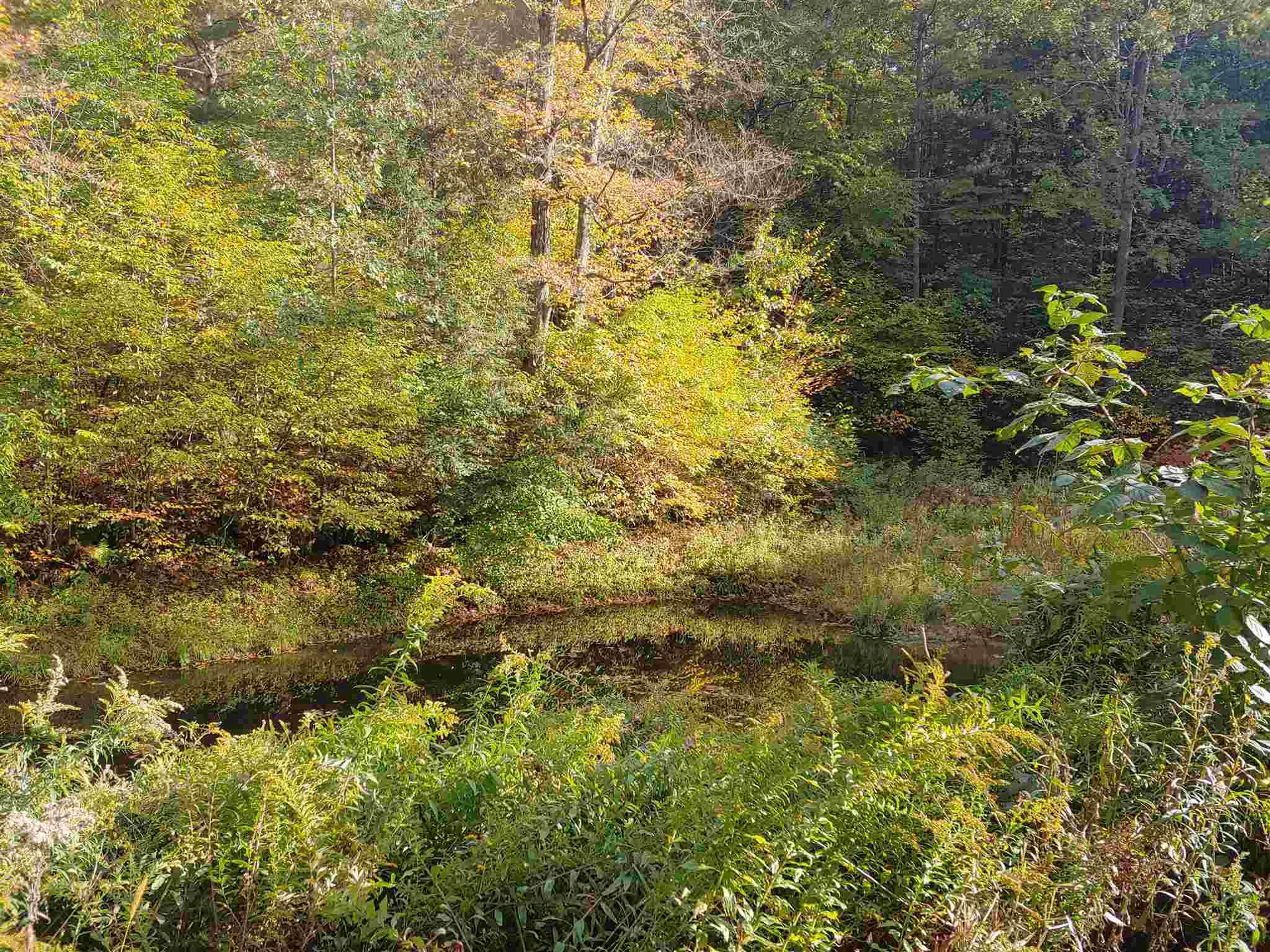 105 Brewery Road Walpole NH 03608