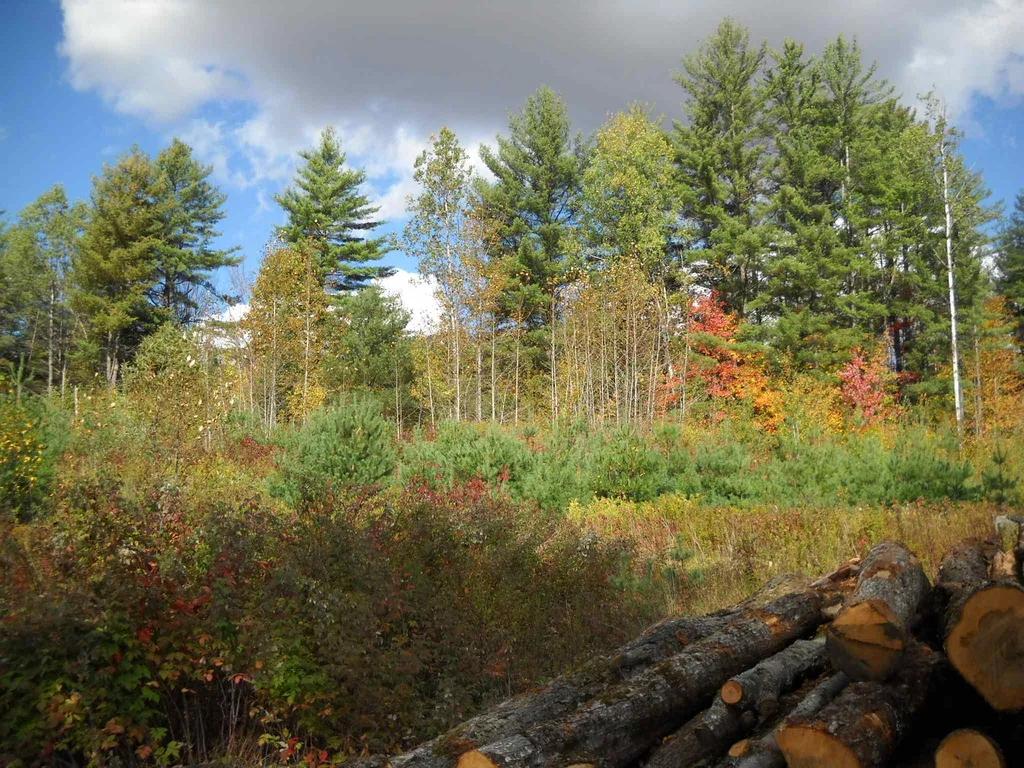 390 Route 25 Topsham VT 05086