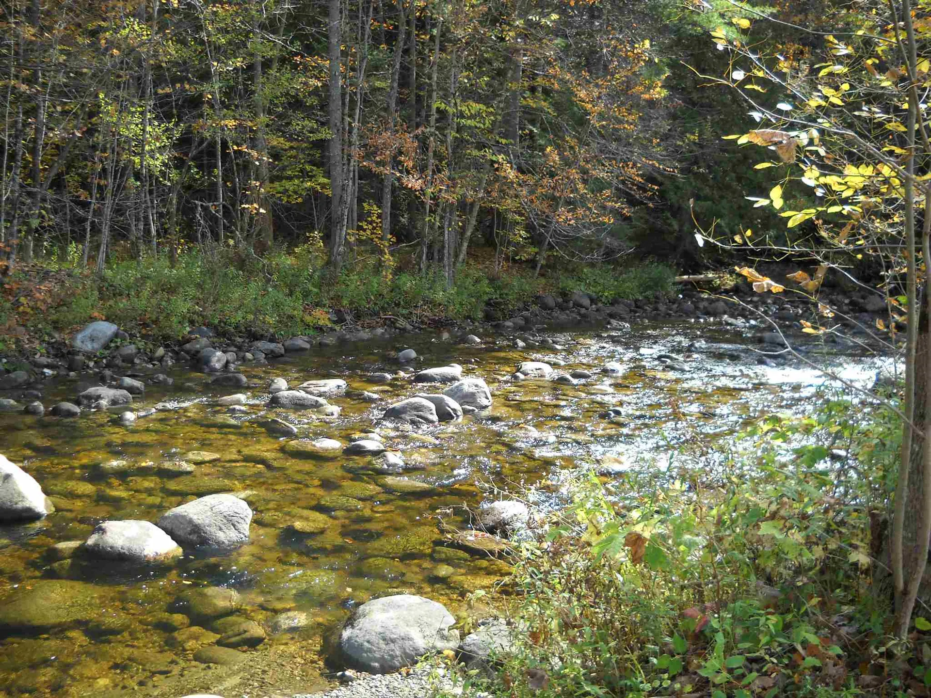 390 Route 25 Topsham VT 05086