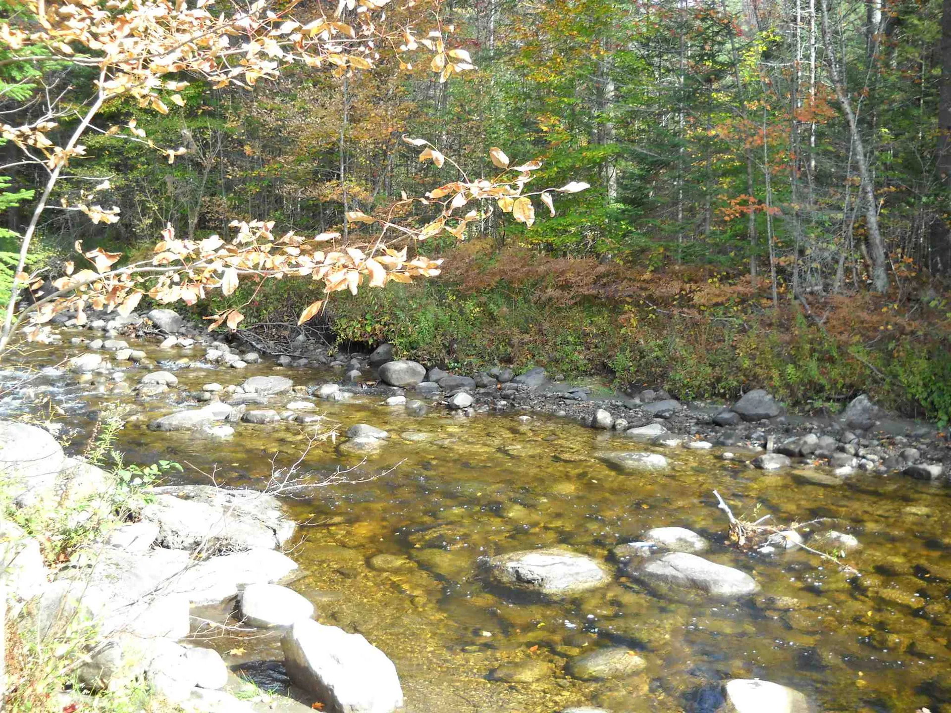 390 Route 25 Topsham VT 05086