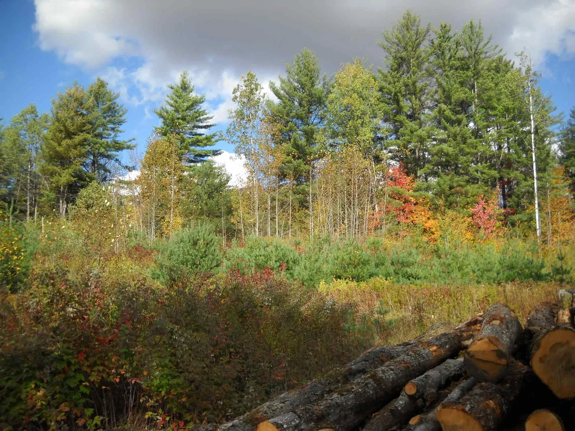 390 Route 25 Topsham VT 05086