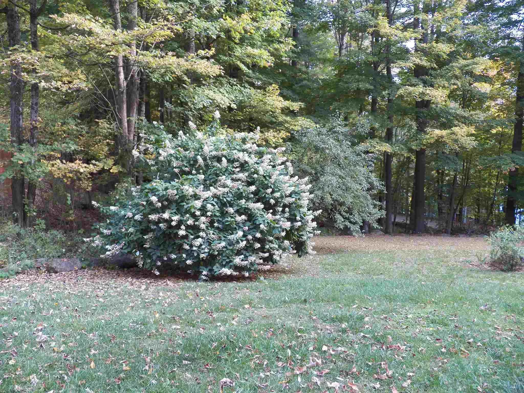 161 Gould Pond Road Hillsborough NH 03244