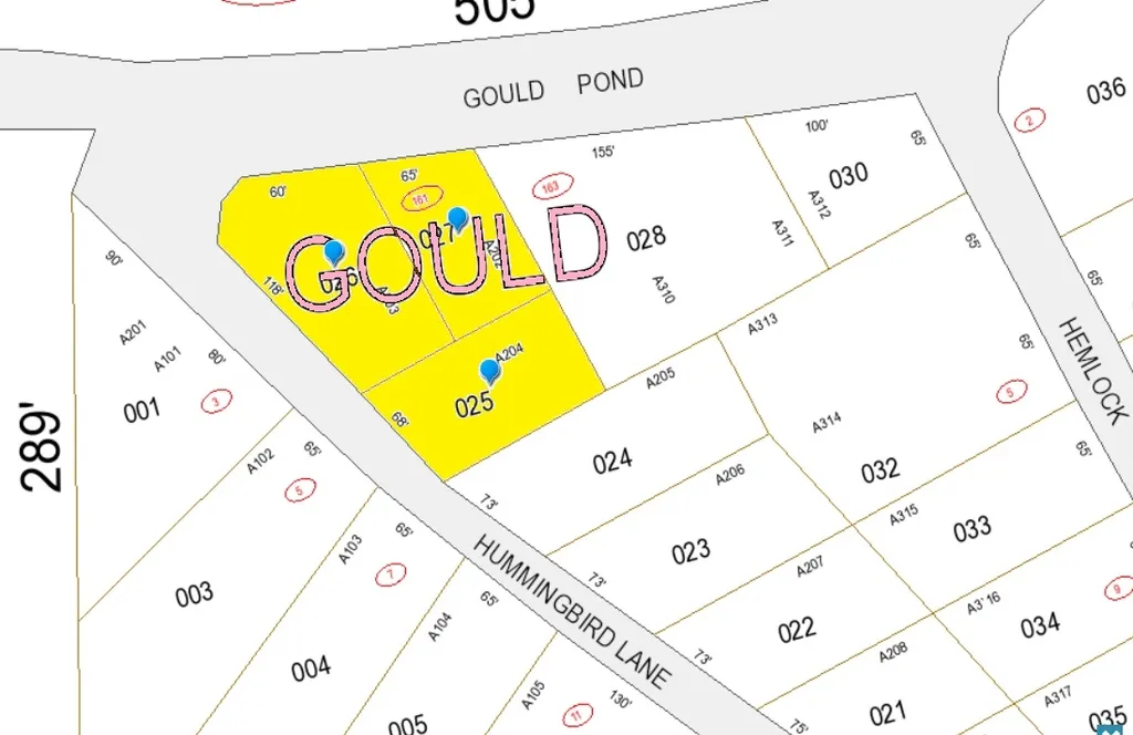 161 Gould Pond Road Hillsborough NH 03244
