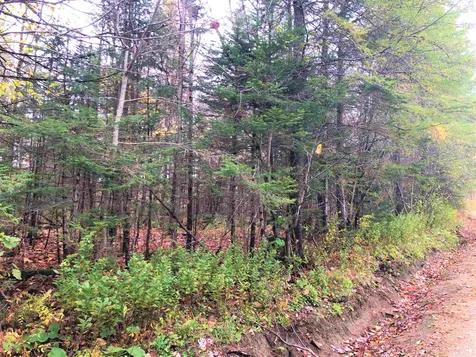 0 Center Pond Road Newark VT 05871