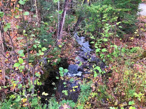 0 Center Pond Road Newark VT 05871