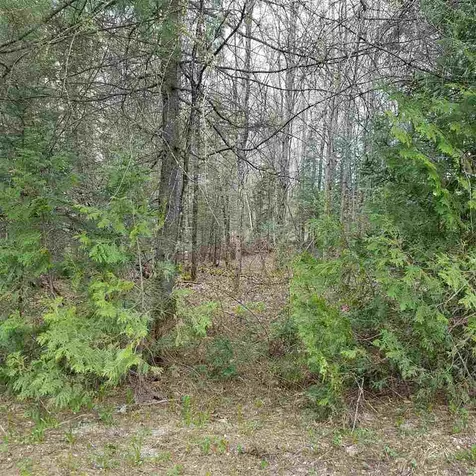 0 Center Pond Road Newark VT 05871