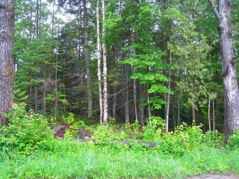 0 Center Pond Road Newark VT 05871