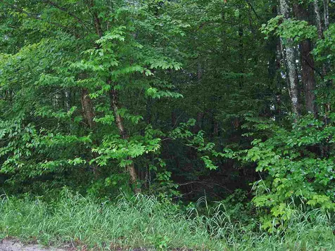 0 Center Pond Road Newark VT 05871