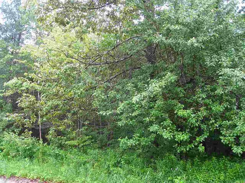 0 Center Pond Road Newark VT 05871