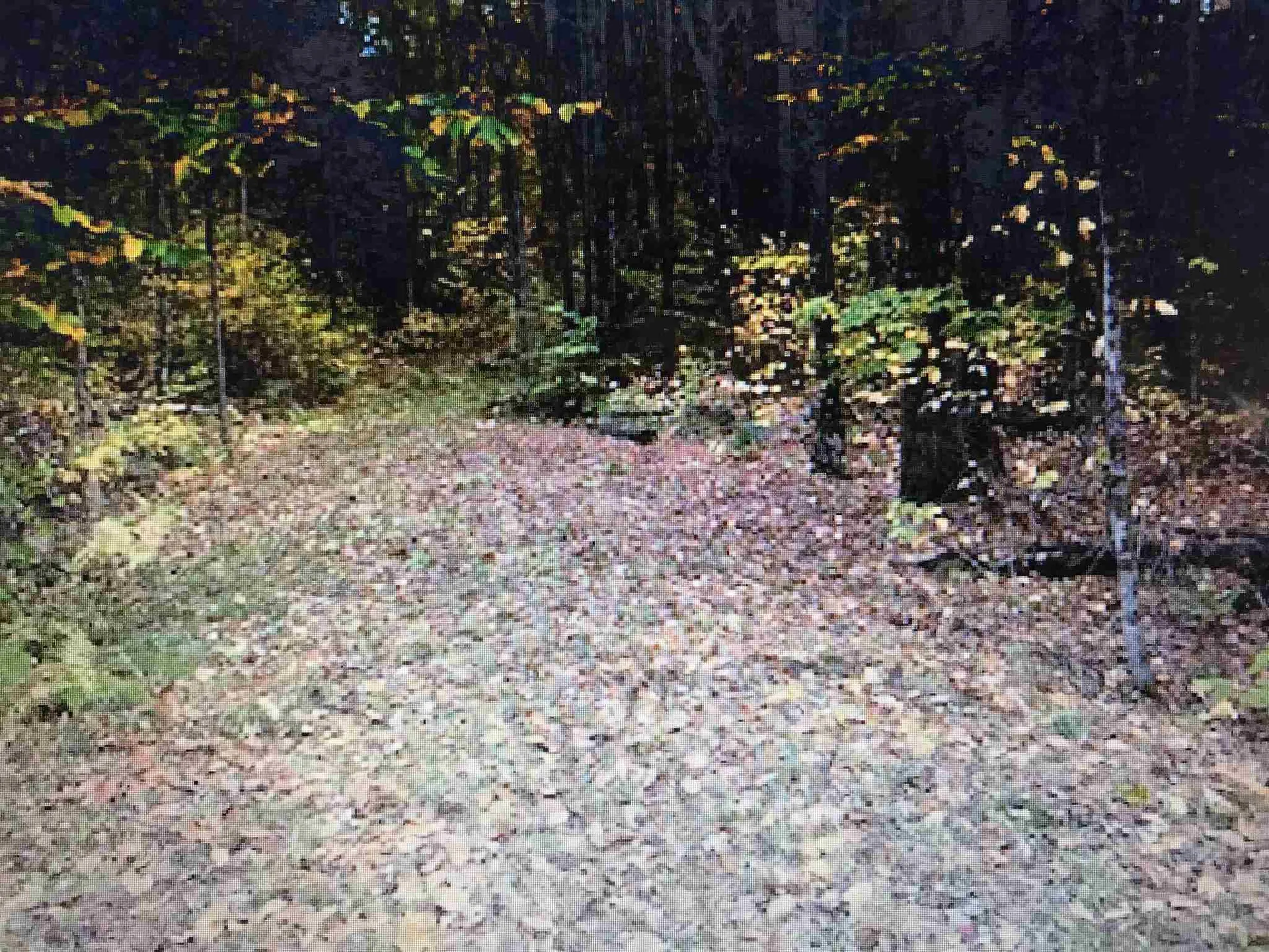 0000 Haverhill Lane Haverhill NH 03774