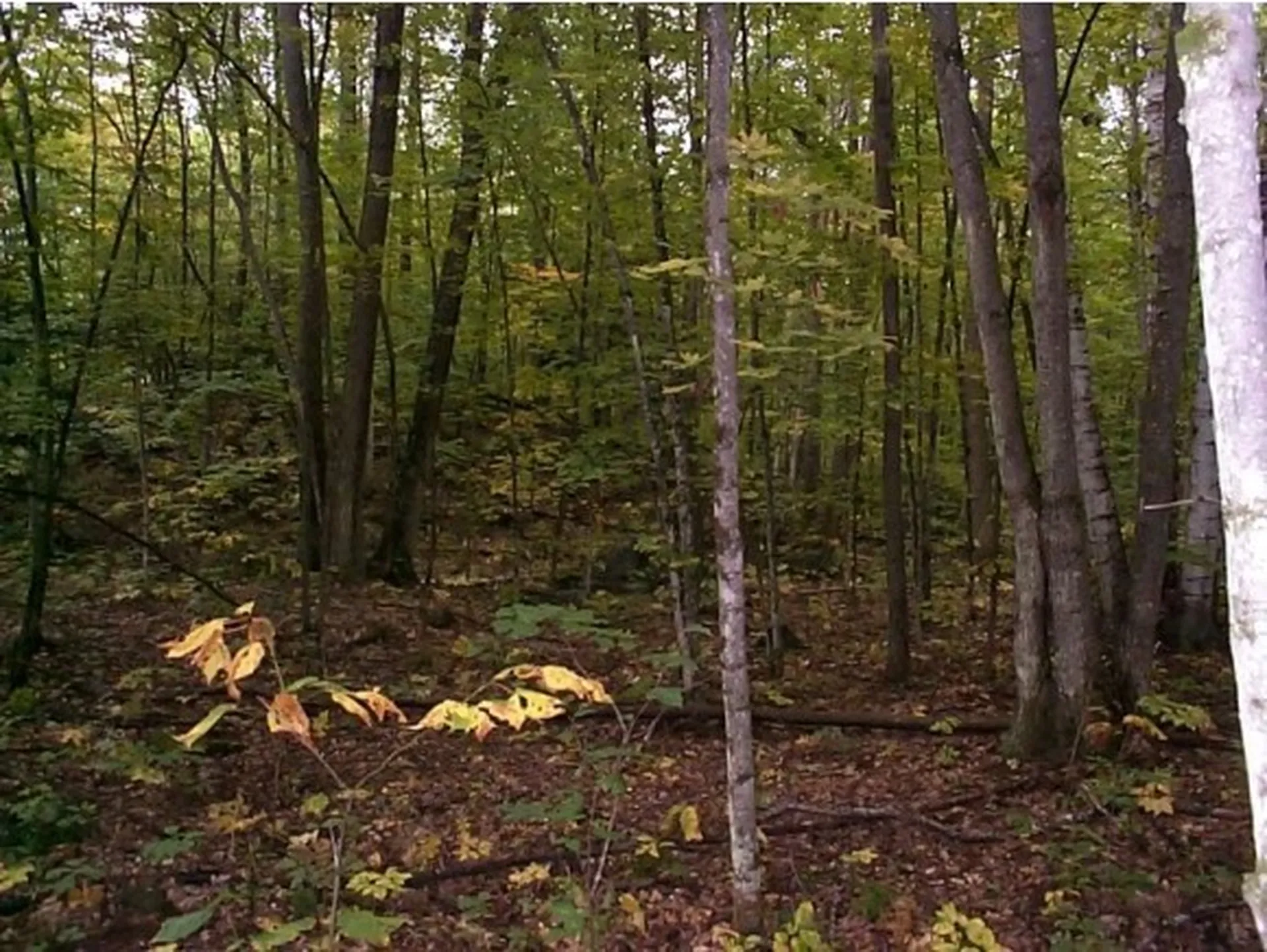 0000 Haverhill Lane Haverhill NH 03774