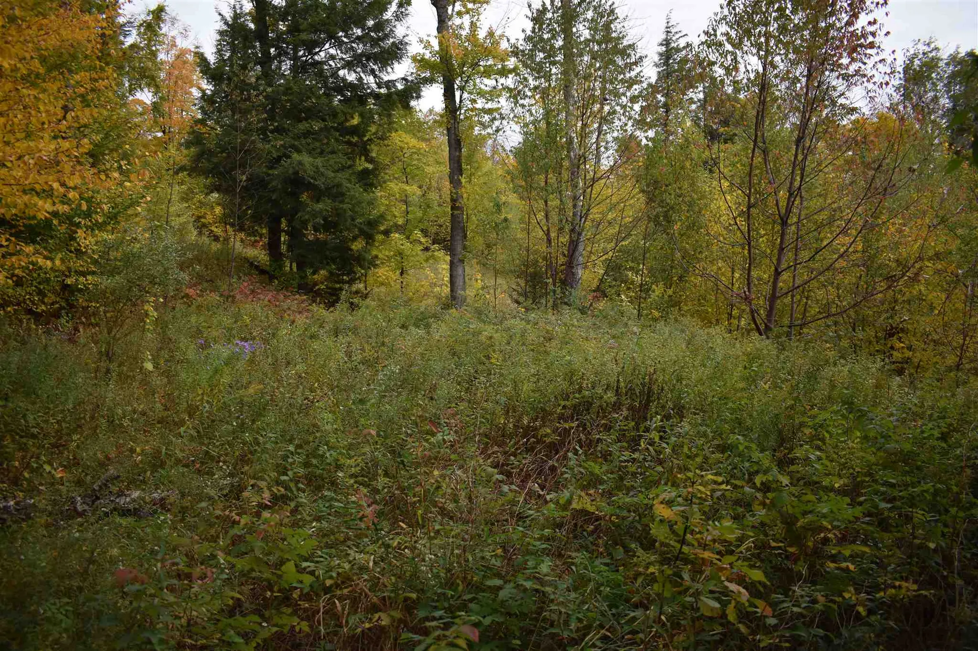 00 High Road Fayston VT 05673