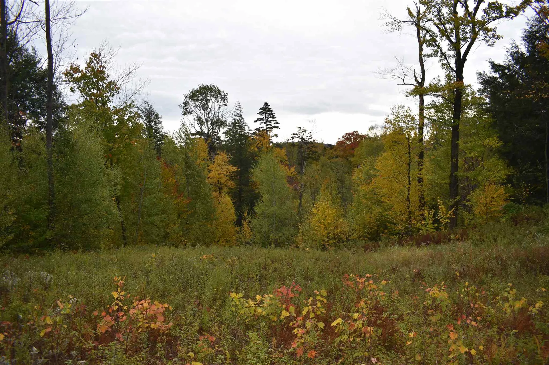 00 High Road Fayston VT 05673