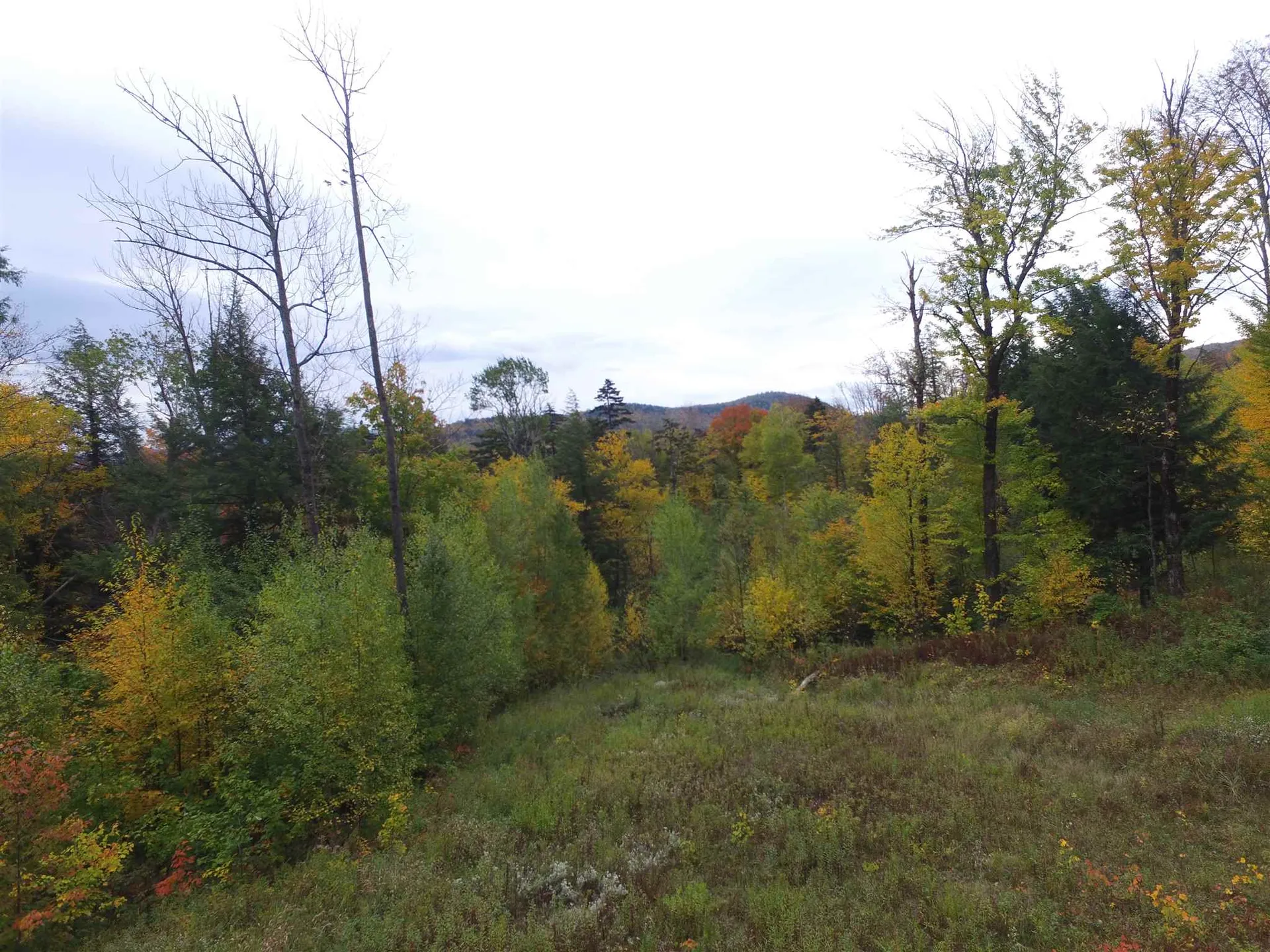 00 High Road Fayston VT 05673