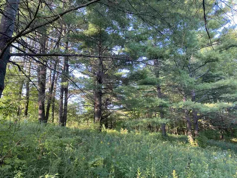 915 Maple Hill Road Barton VT 05822