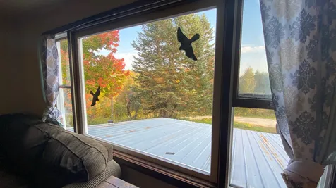 915 Maple Hill Road Barton VT 05822