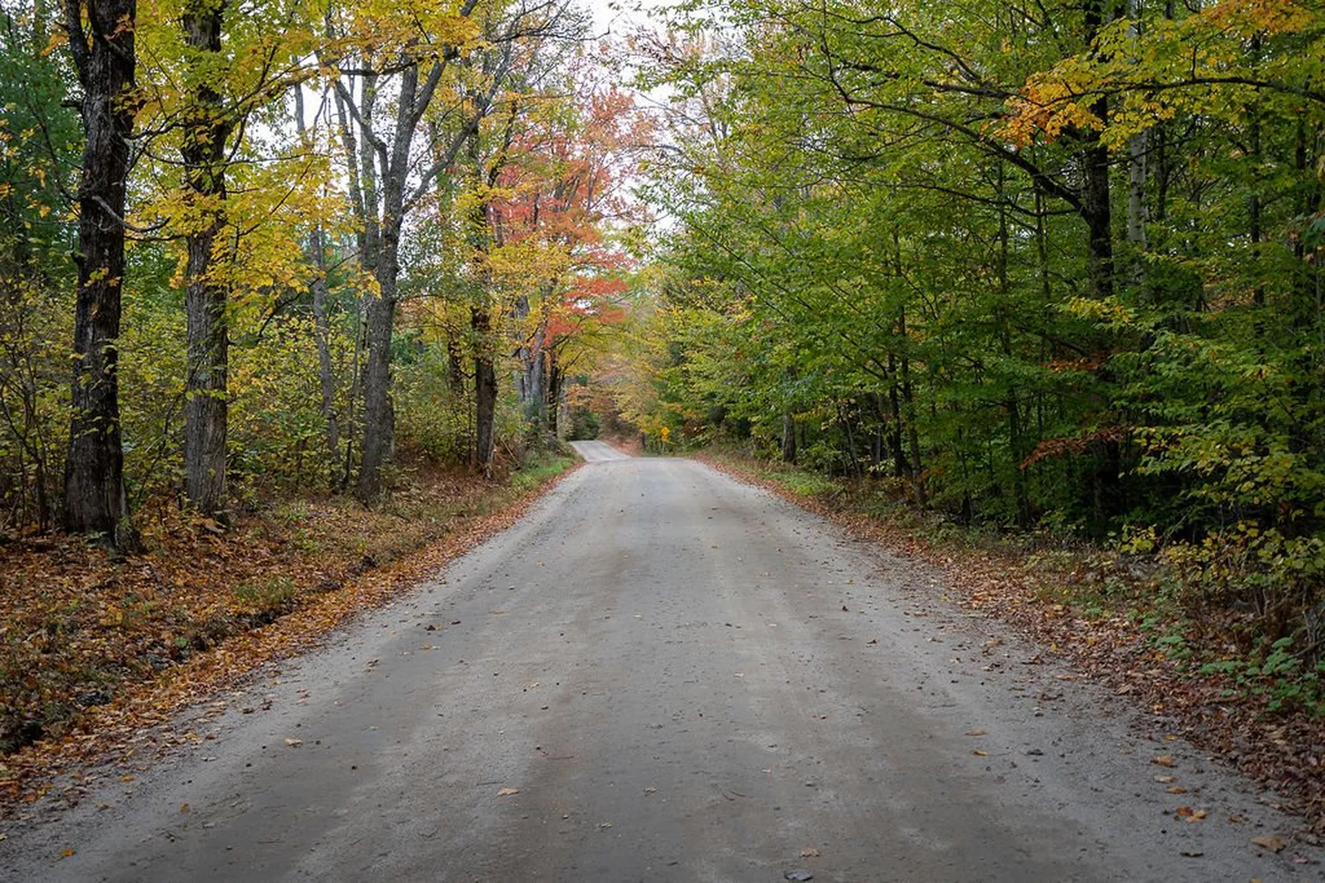1262 Halfmoon Pond Road Washington NH 03280