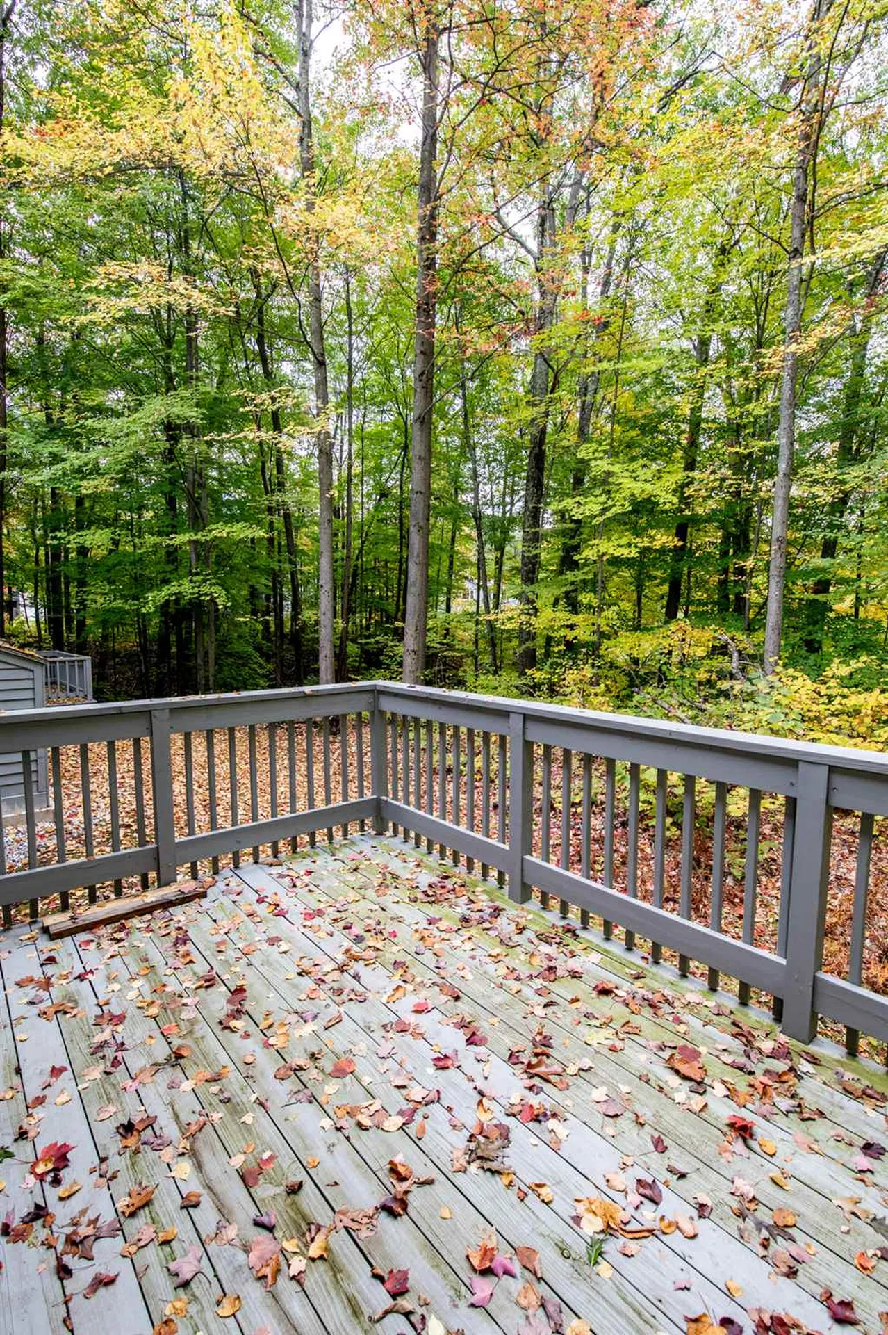 18 Pheasant Woods Colchester VT 05446