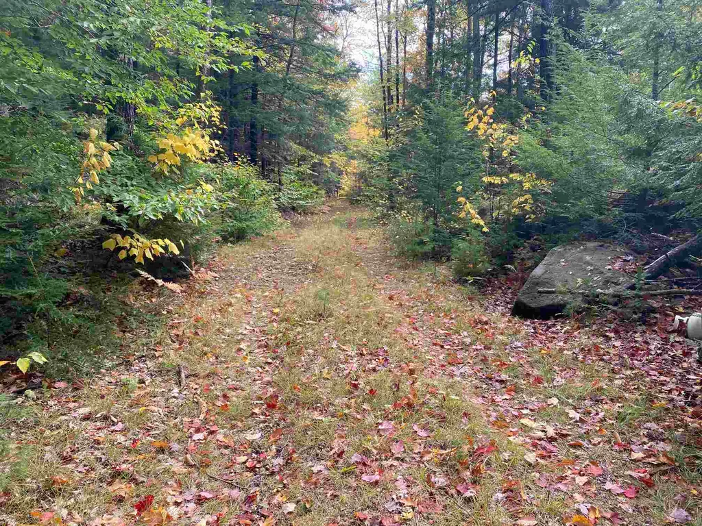 1525 E Rumney Road Rumney NH 03266