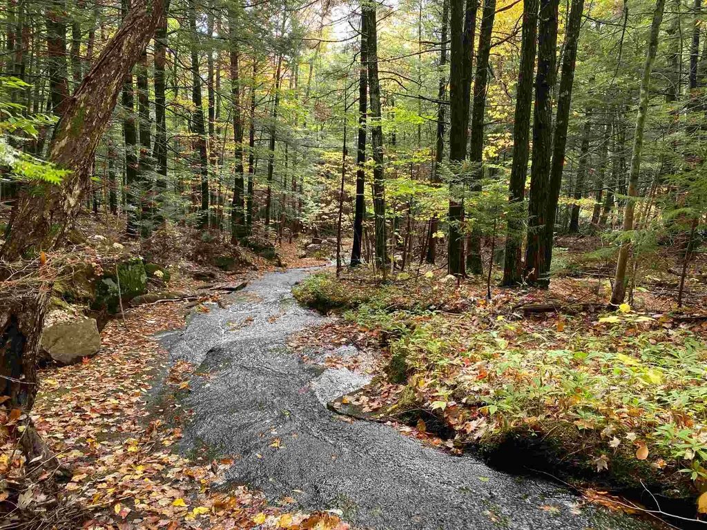 1525 E Rumney Road Rumney NH 03266