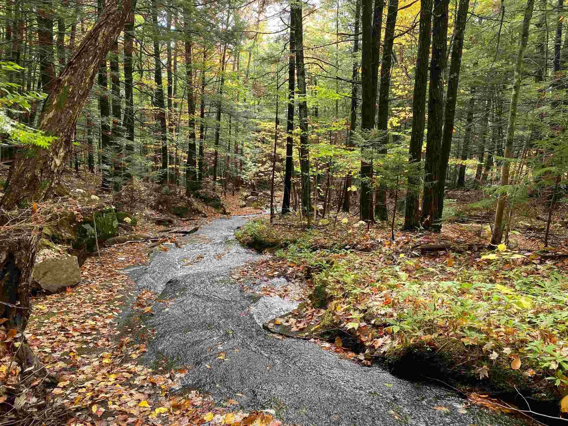 1525 E Rumney Road Rumney NH 03266